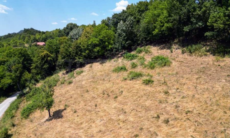 For Sale  Plot region Lovech , Apriltsi , 2792 sq.m | 14621954 - image [16]