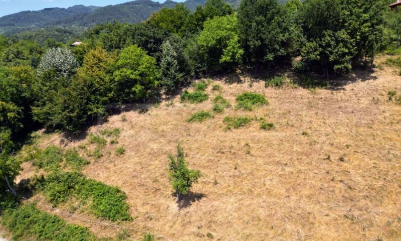 For Sale  Plot region Lovech , Apriltsi , 2792 sq.m | 14621954 - image [15]