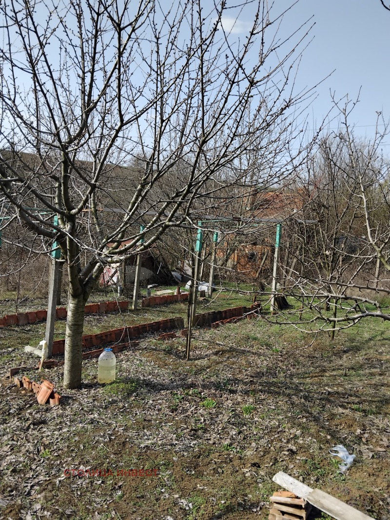 Till salu  Komplott region Ruse , Nikolovo , 585 kvm | 10220474 - bild [6]
