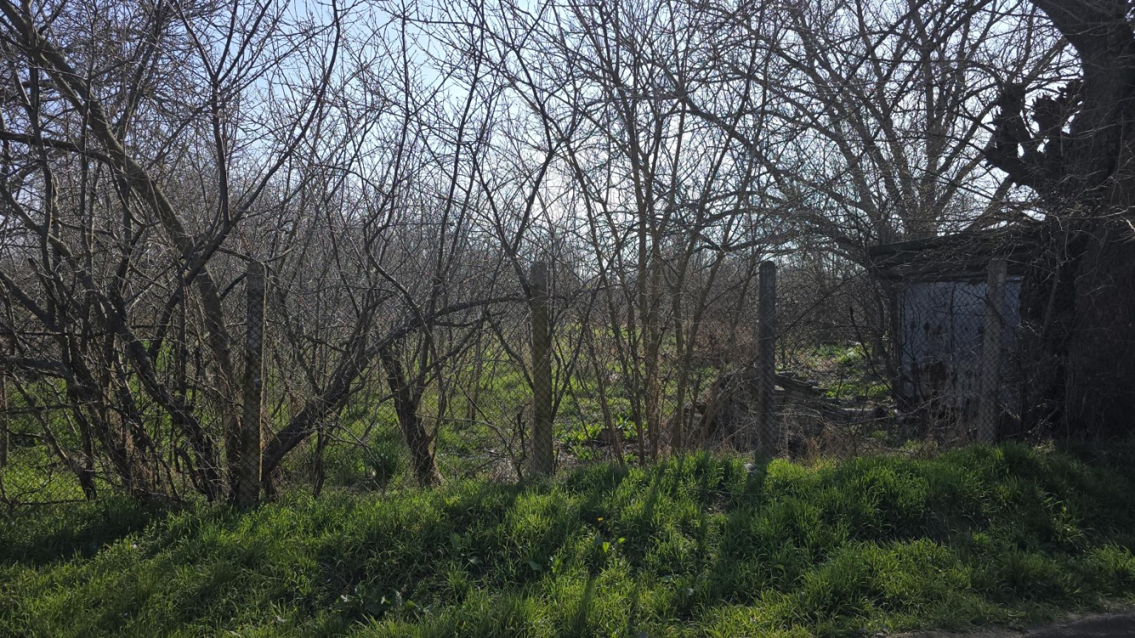 Продава ПАРЦЕЛ, с. Момино село, област Пловдив, снимка 3 - Парцели - 53888343