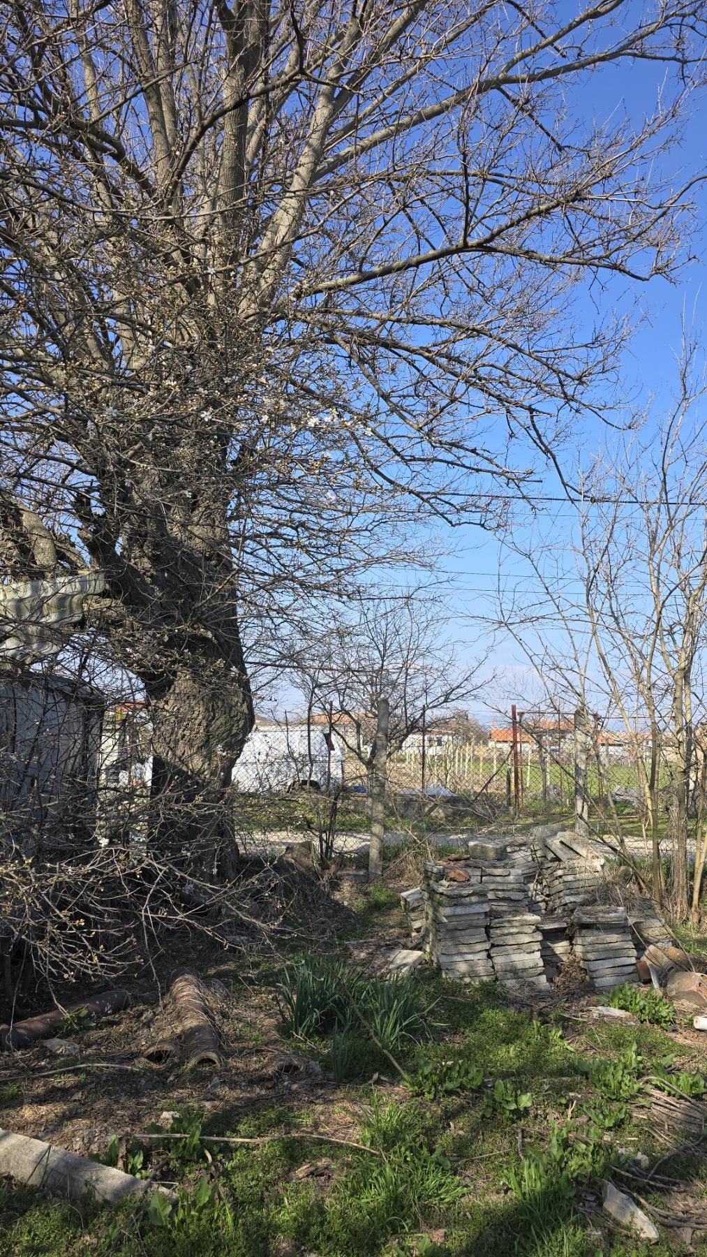 Продава ПАРЦЕЛ, с. Момино село, област Пловдив, снимка 4 - Парцели - 53888343