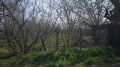 Продава ПАРЦЕЛ, с. Момино село, област Пловдив, снимка 3