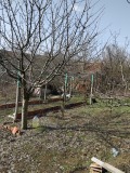 Продава ПАРЦЕЛ, област Русе, с. Николово • 21000 лв. • 30504831 — Holmes.bg