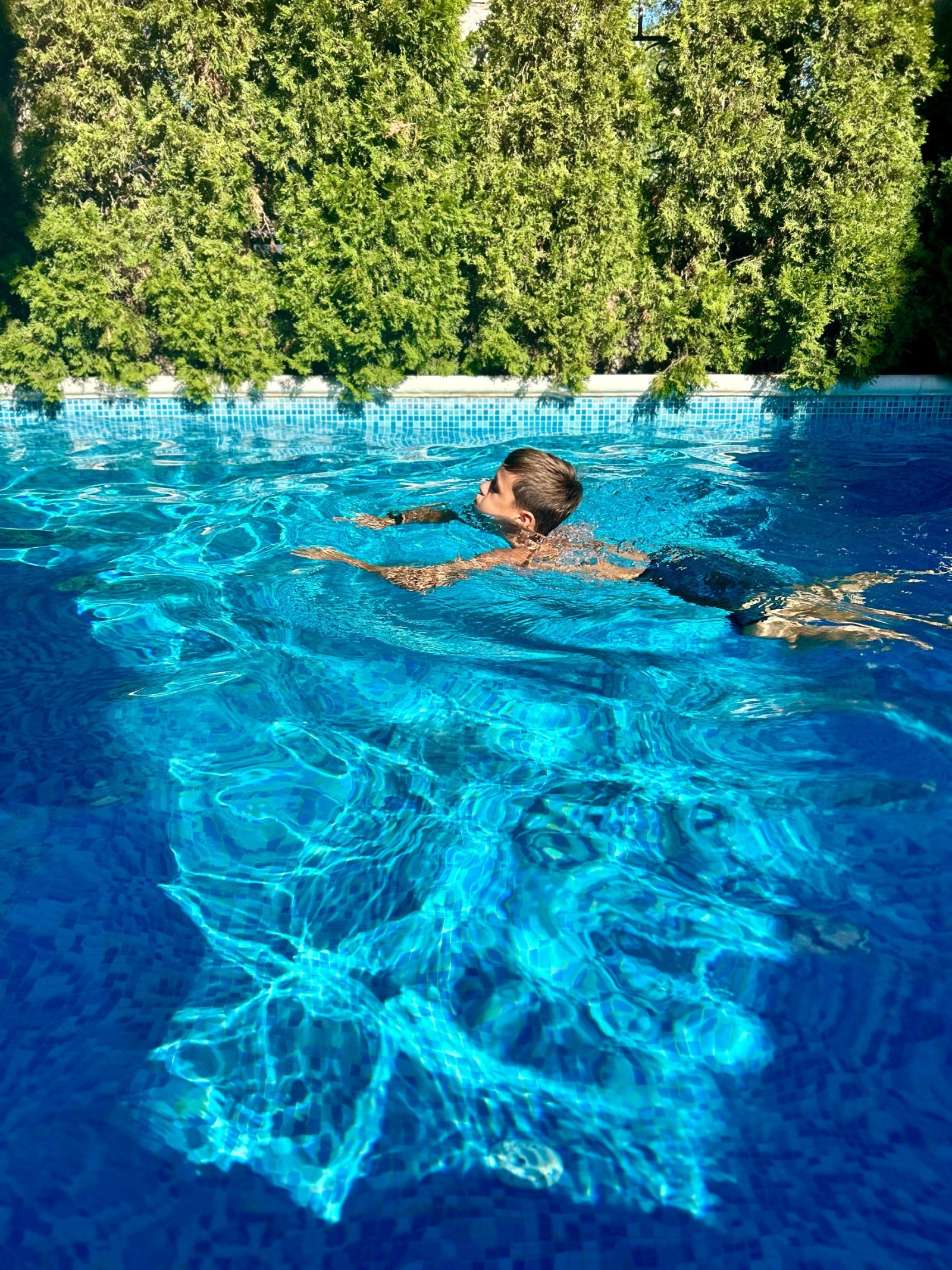 ������� 1-����� | Imot.bg � ����������� 16