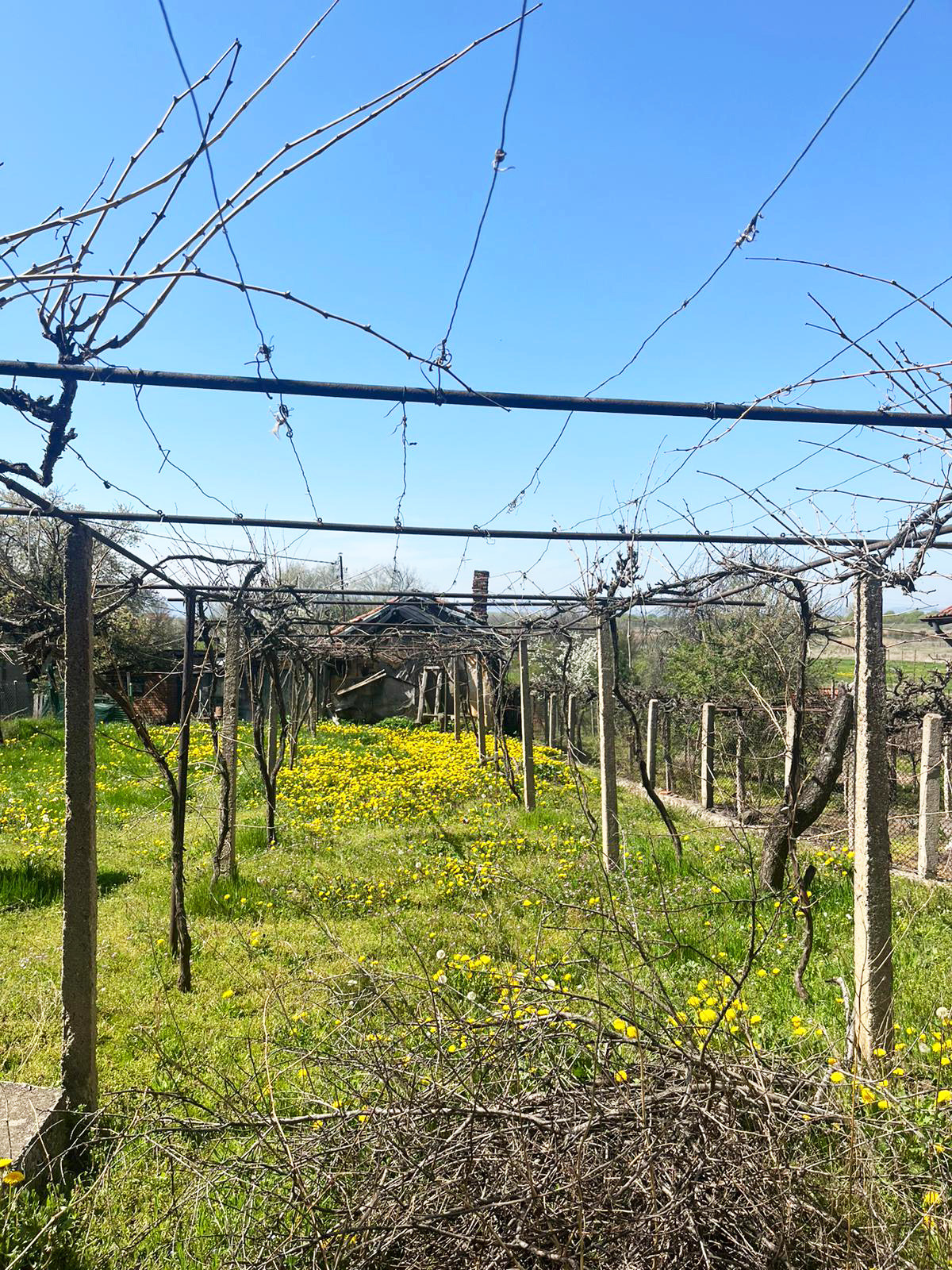 ������� ���� | Imot.bg � ����������� 6