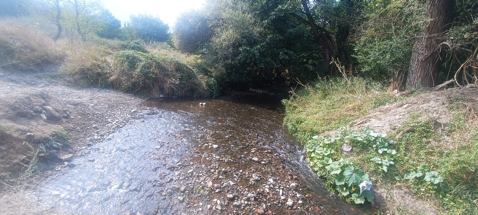 ������� ������ | Imot.bg � ����������� 2