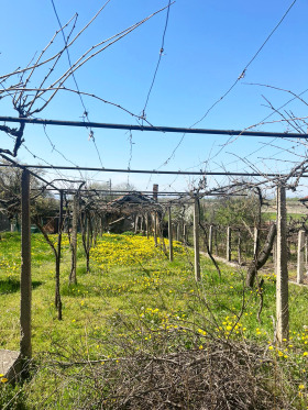 ������� ���� | Imot.bg � ����� ������ 6