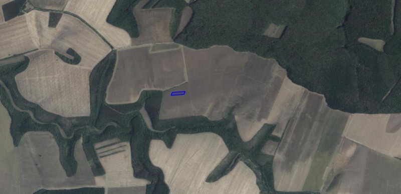 Продава ЗЕМЕДЕЛСКА ЗЕМЯ, с. Нисово, област Русе, снимка 3 - Земеделска земя - 46280616