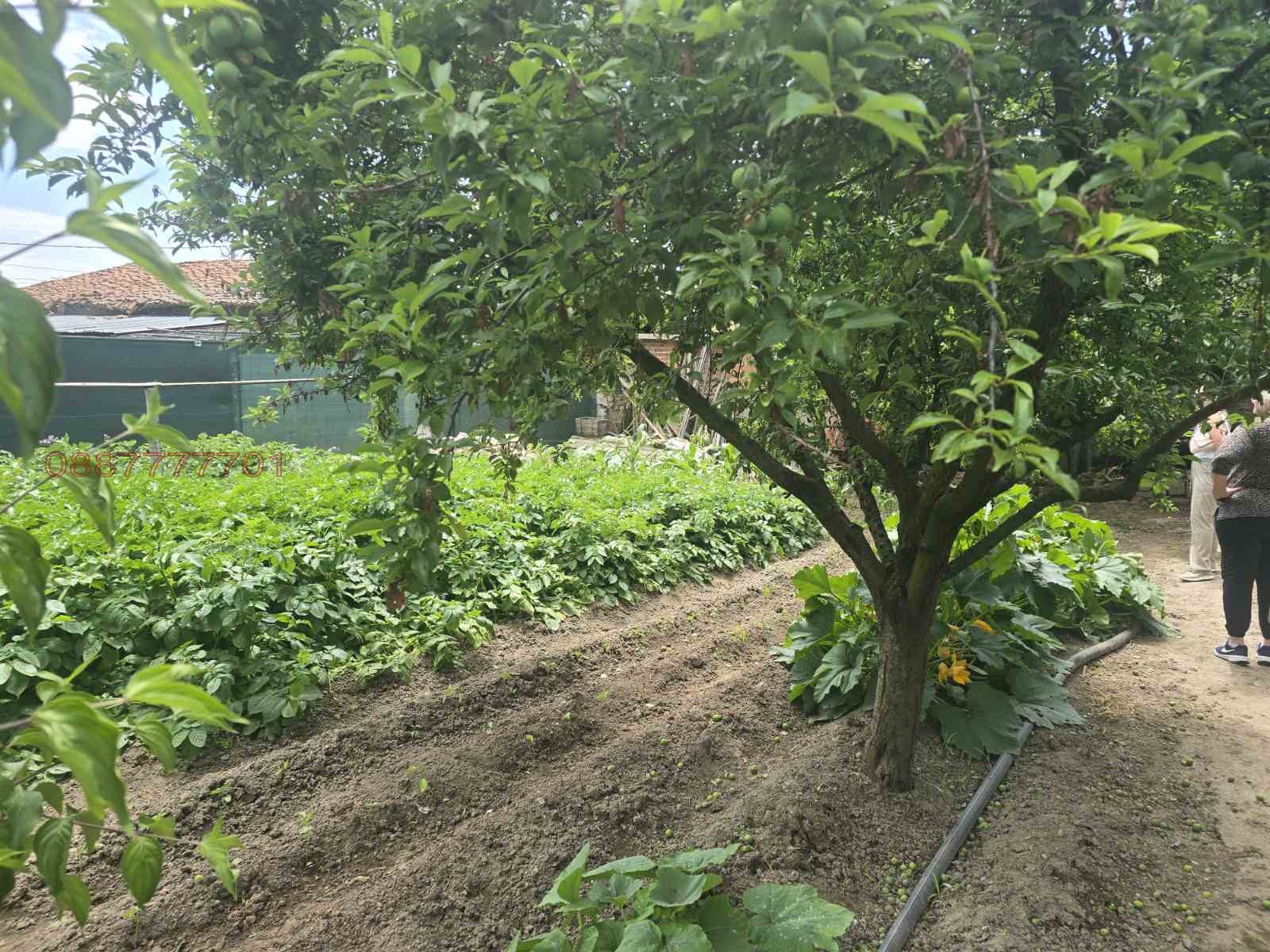 Продава КЪЩА | Imot.bg — изображение 3