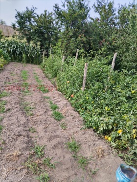 ������� ���� | Imot.bg � ����� ������ 13
