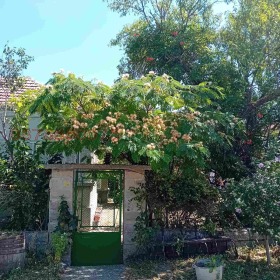 ������� ���� | Imot.bg � ����� ������ 2
