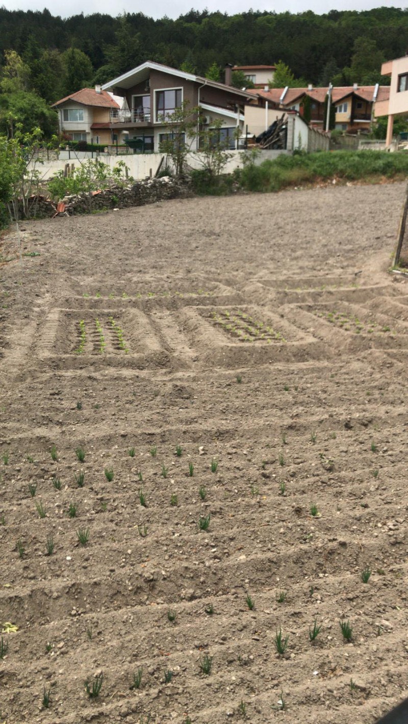 Продава ПАРЦЕЛ, с. Рогачево, област Добрич, снимка 4 - Парцели - 52785803