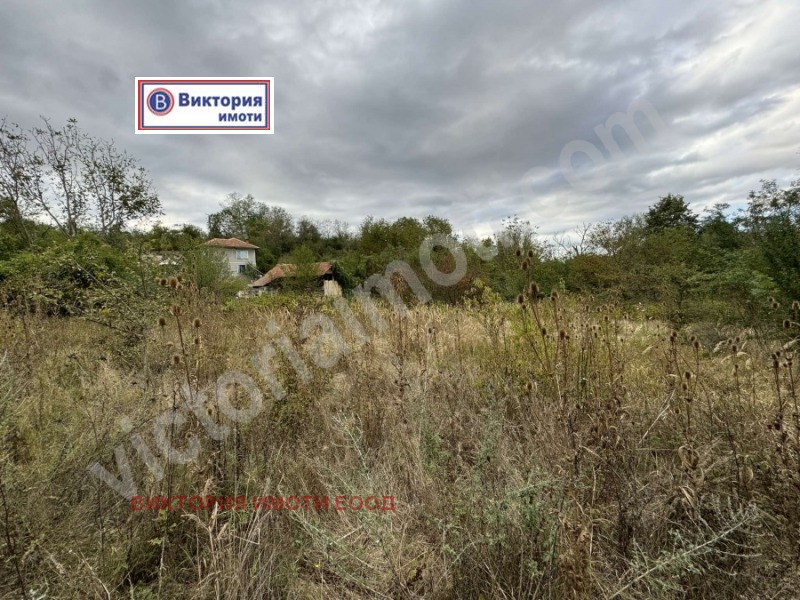 Продаја  Плот регион Велико Тарново , Плаково , 4070 м2 | 40018479 - слика [4]