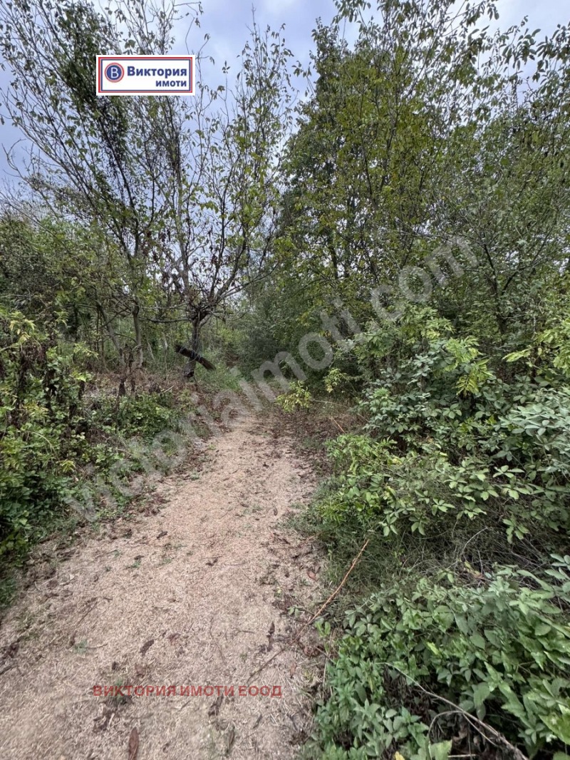 For Sale  Plot region Veliko Tarnovo , Plakovo , 4070 sq.m | 40018479 - image [2]