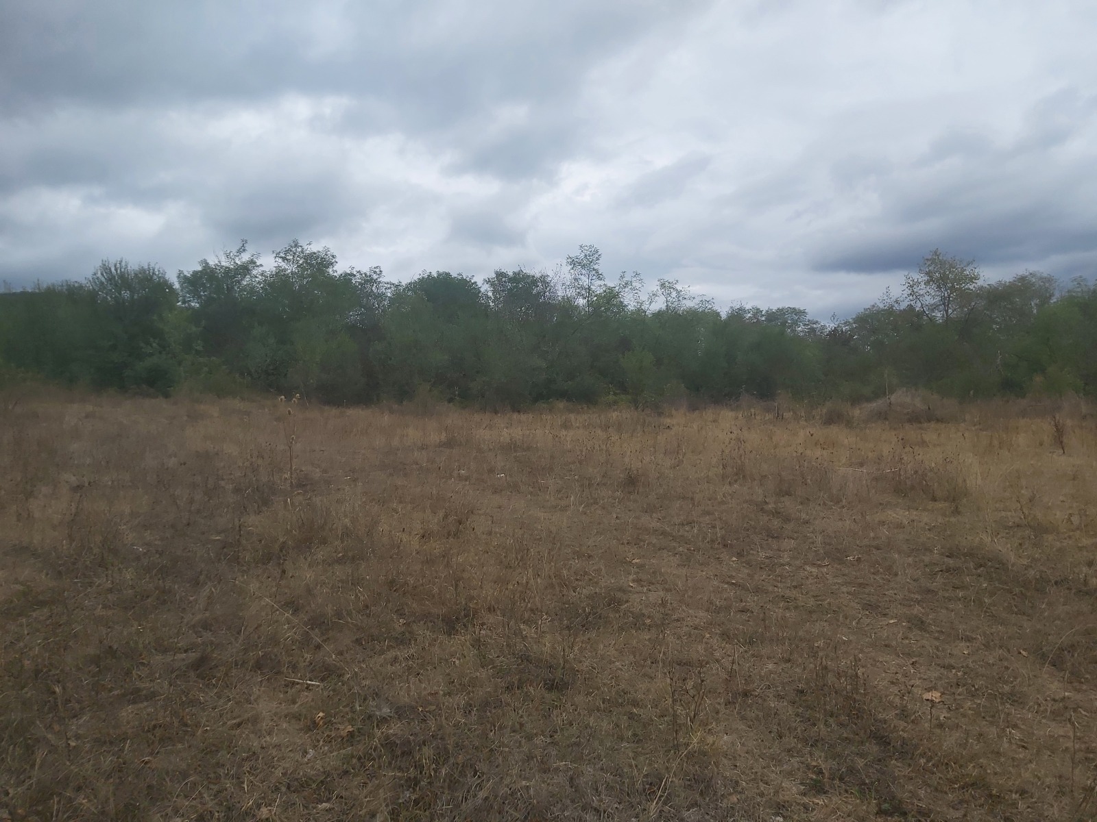 Продава ПАРЦЕЛ, с. Старо село, област Ловеч, снимка 2 - Парцели - 52005687