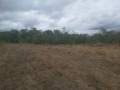 Продава ПАРЦЕЛ, с. Старо село, област Ловеч, снимка 2