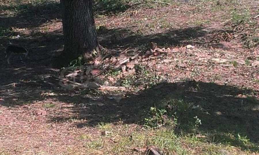 Продава КЪЩА | Imot.bg — изображение 15