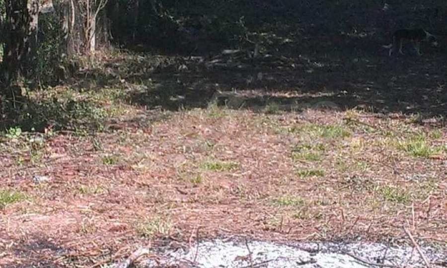 Продава КЪЩА | Imot.bg — изображение 12