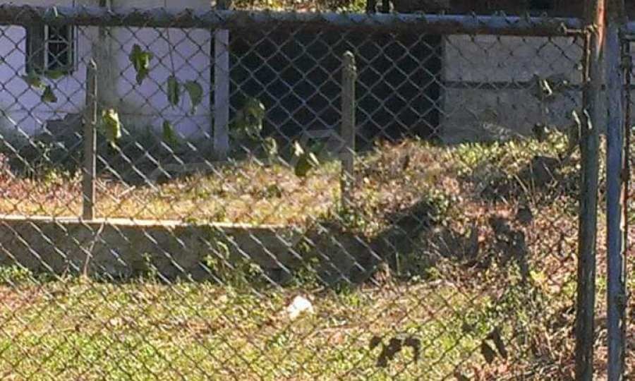 Продава КЪЩА | Imot.bg — изображение 4