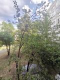 Продава 3-СТАЕН, град София, Младост 2 • 179000 € • 97288815 — Holmes.bg