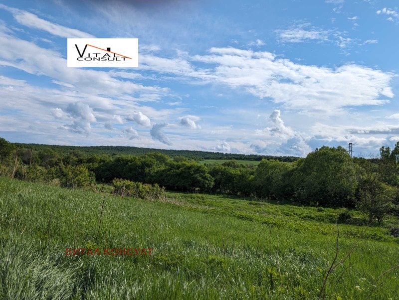 Продава ПАРЦЕЛ в област София, с. Гайтанево - 5662 кв.м / 140 000 € » 273 816.20 лв., ВИТАЛ КОНСУЛТ