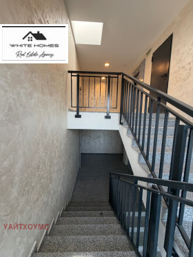 ����� ������� 3-�����,���� �����, �������� ������