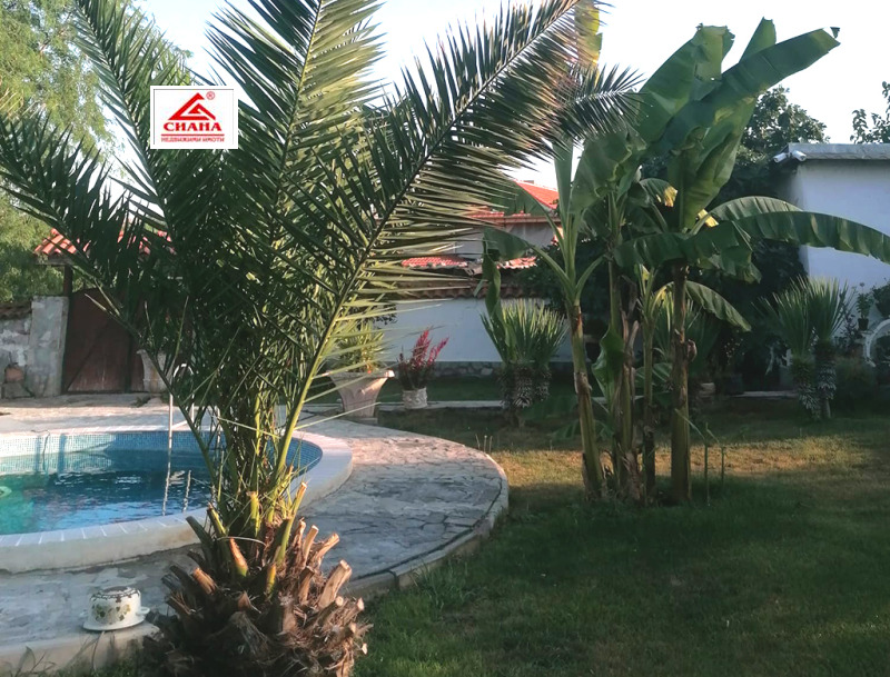 Продава КЪЩА, с. Сталево, област Хасково, снимка 8 - Къщи - 52543293