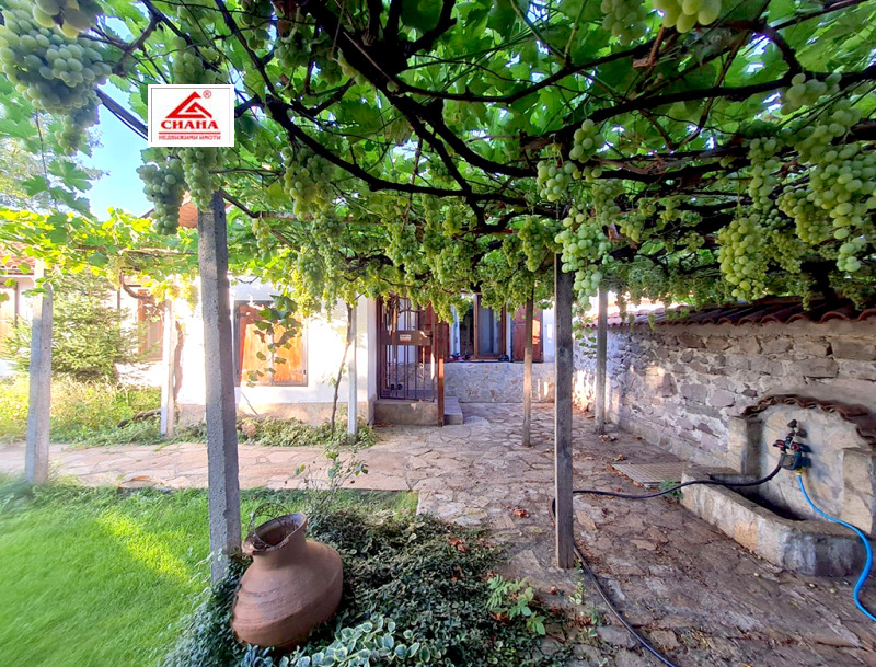 Продава КЪЩА, с. Сталево, област Хасково, снимка 12 - Къщи - 52543293