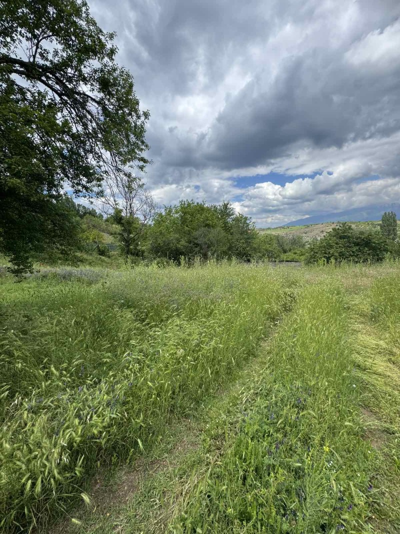 Na prodej  Spiknutí oblast Blagoevgrad , Balgarčevo , 1050 m2 | 88162063