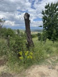 Продава ПАРЦЕЛ, област Благоевград, с. Българчево • 55000 € • 44645492 — Holmes.bg