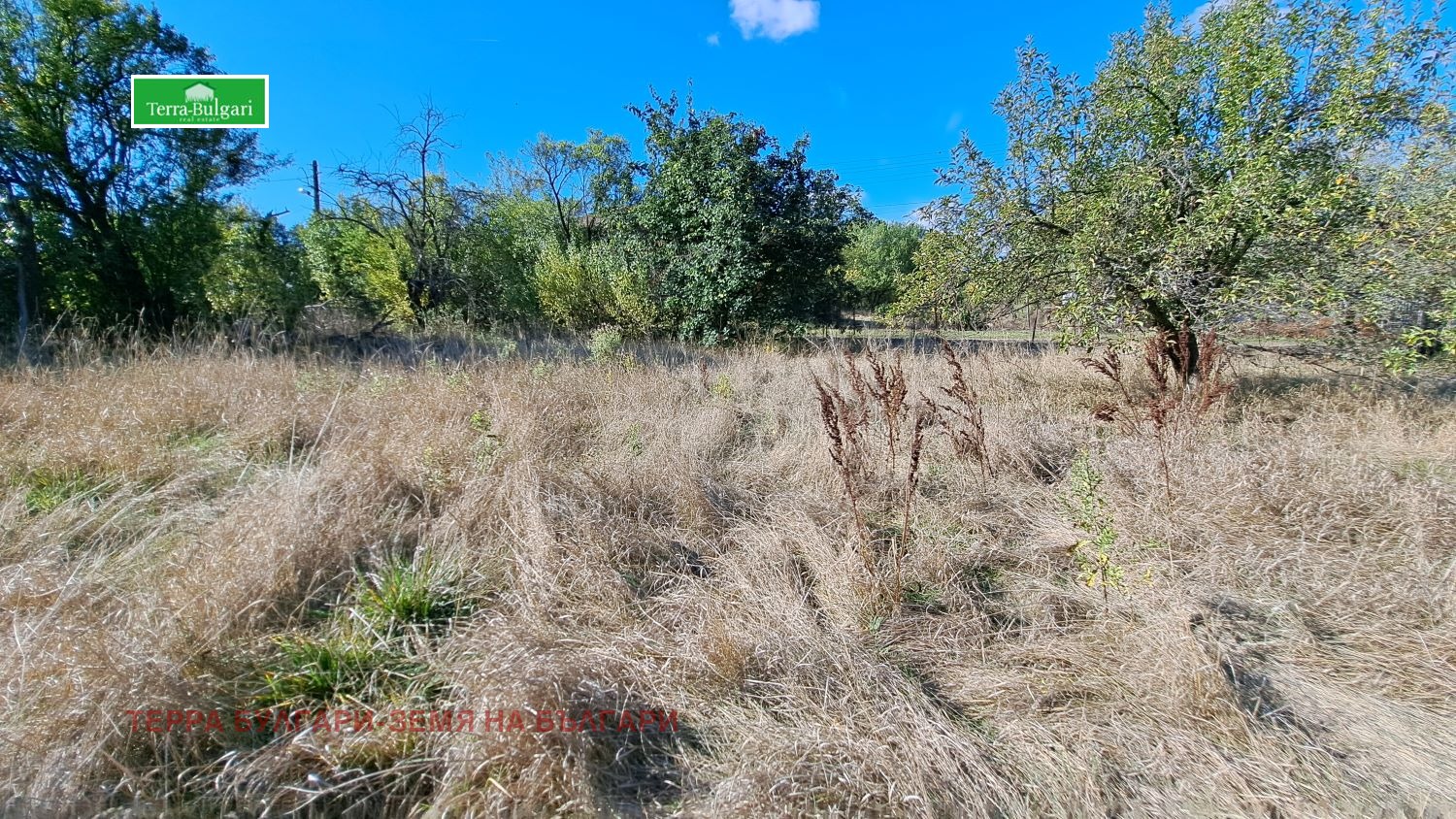 ������� ������ | Imot.bg � ����������� 7