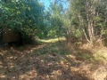 Продава  Парцел област Бургас , гр. Царево , 850 кв.м | 59668973