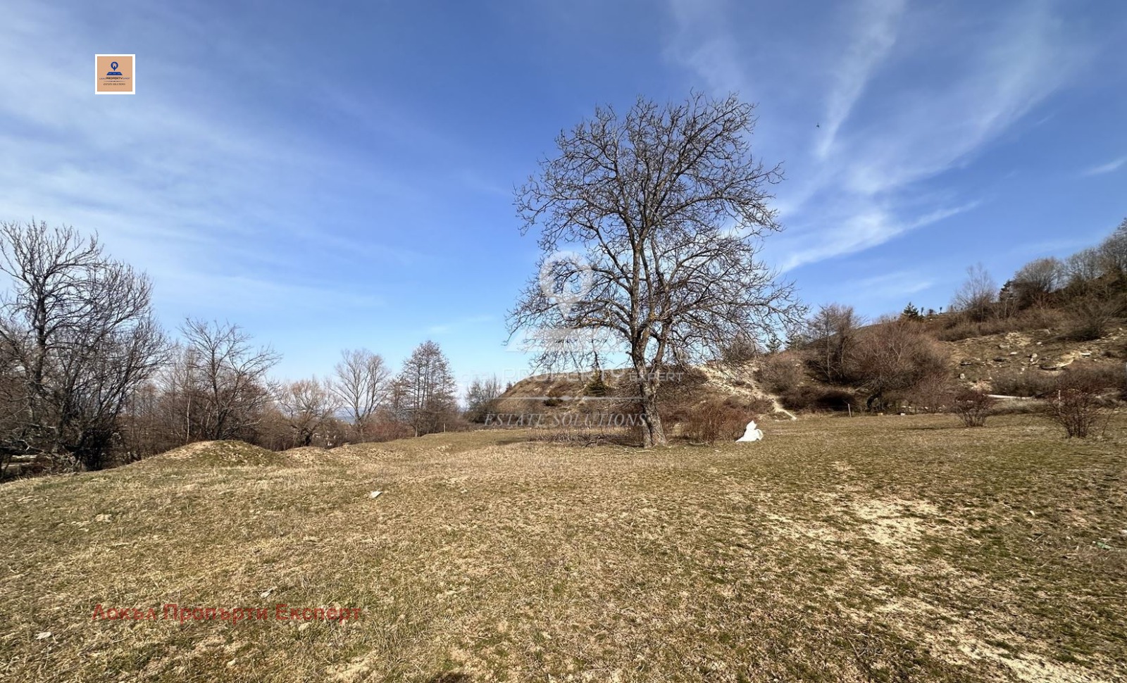 ������� ������ | Imot.bg � ����������� 7