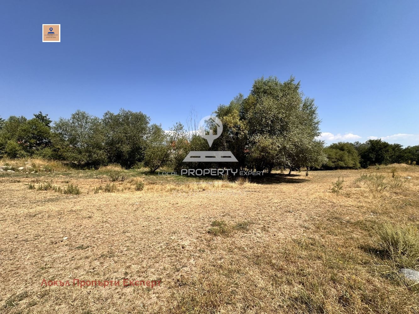 ������� ������ | Imot.bg � ����������� 8