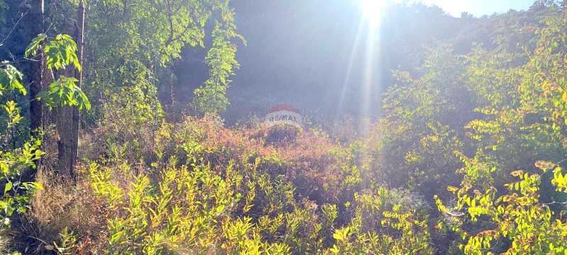 Продава ПАРЦЕЛ | Imot.bg — изображение 3