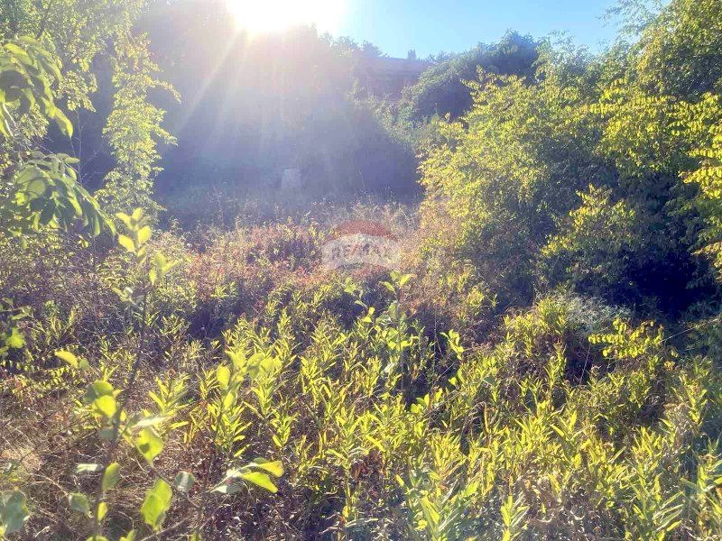 Продава ПАРЦЕЛ | Imot.bg — изображение 5