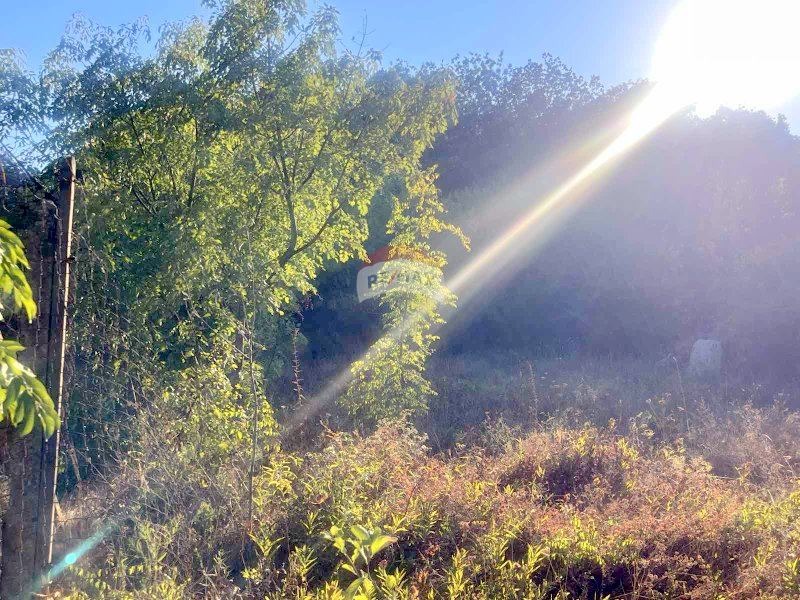 Продава ПАРЦЕЛ | Imot.bg — изображение 6