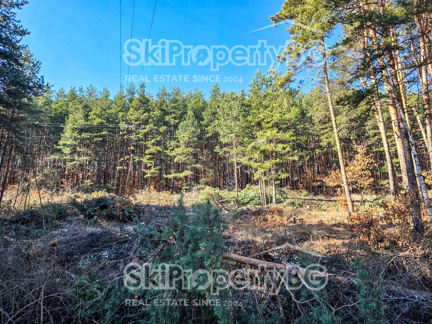 ������� ������ | Imot.bg � ����������� 15