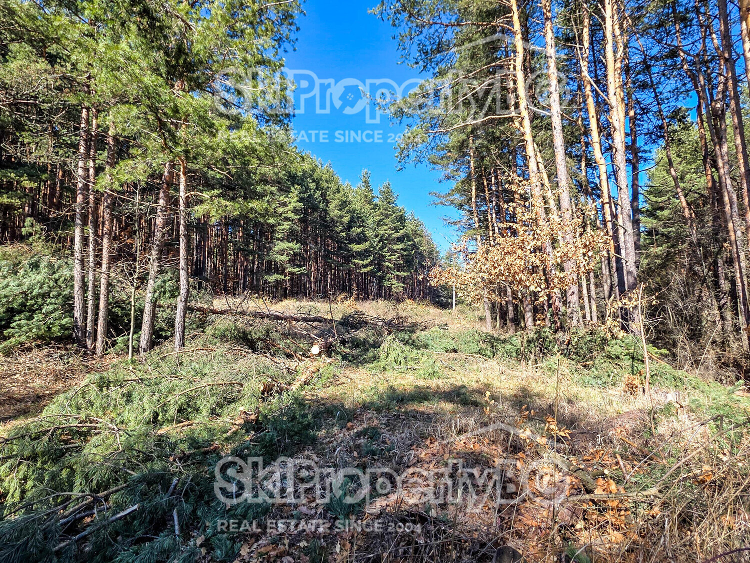 ������� ������ | Imot.bg � ����������� 13