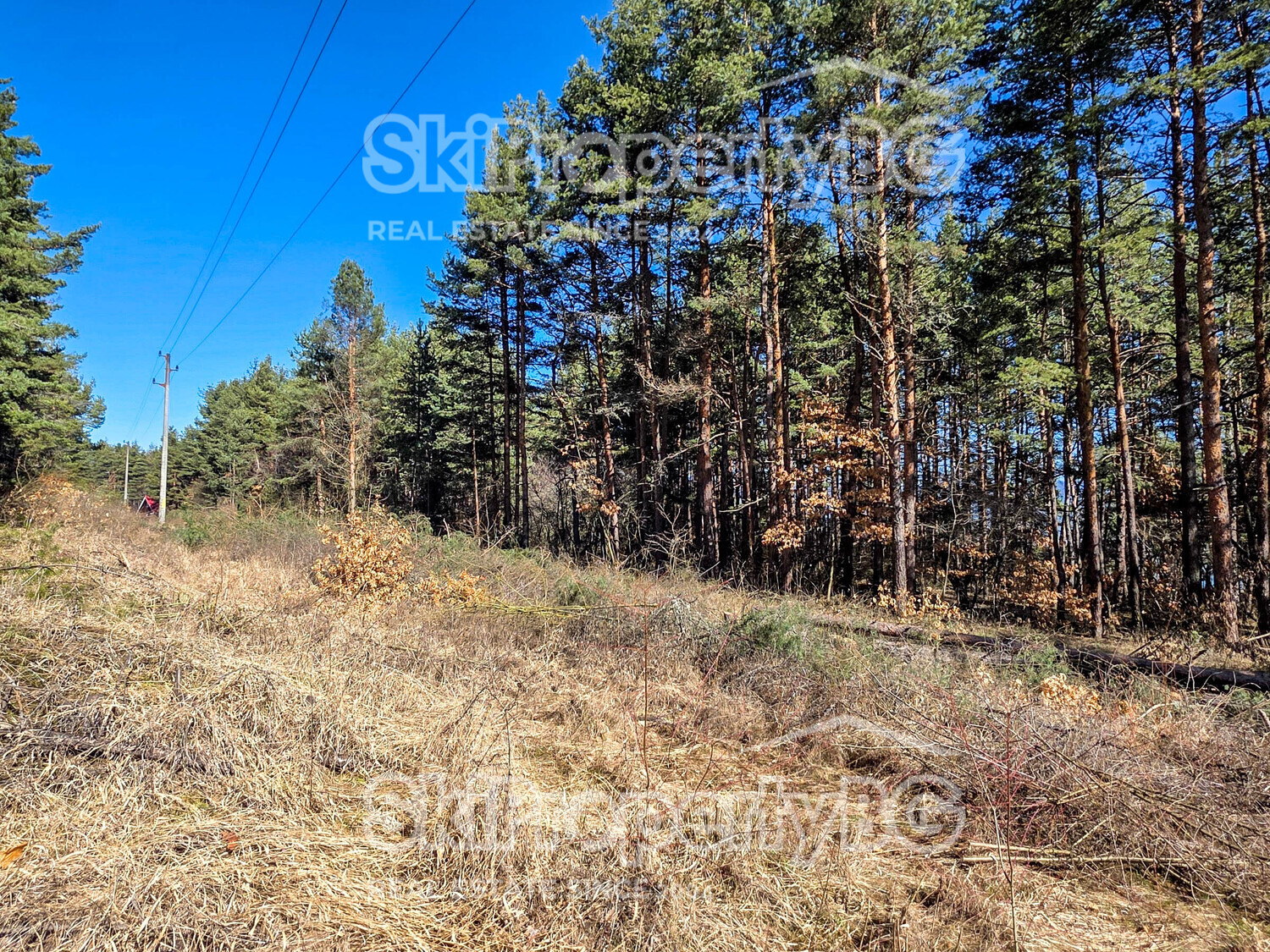 ������� ������ | Imot.bg � ����������� 8