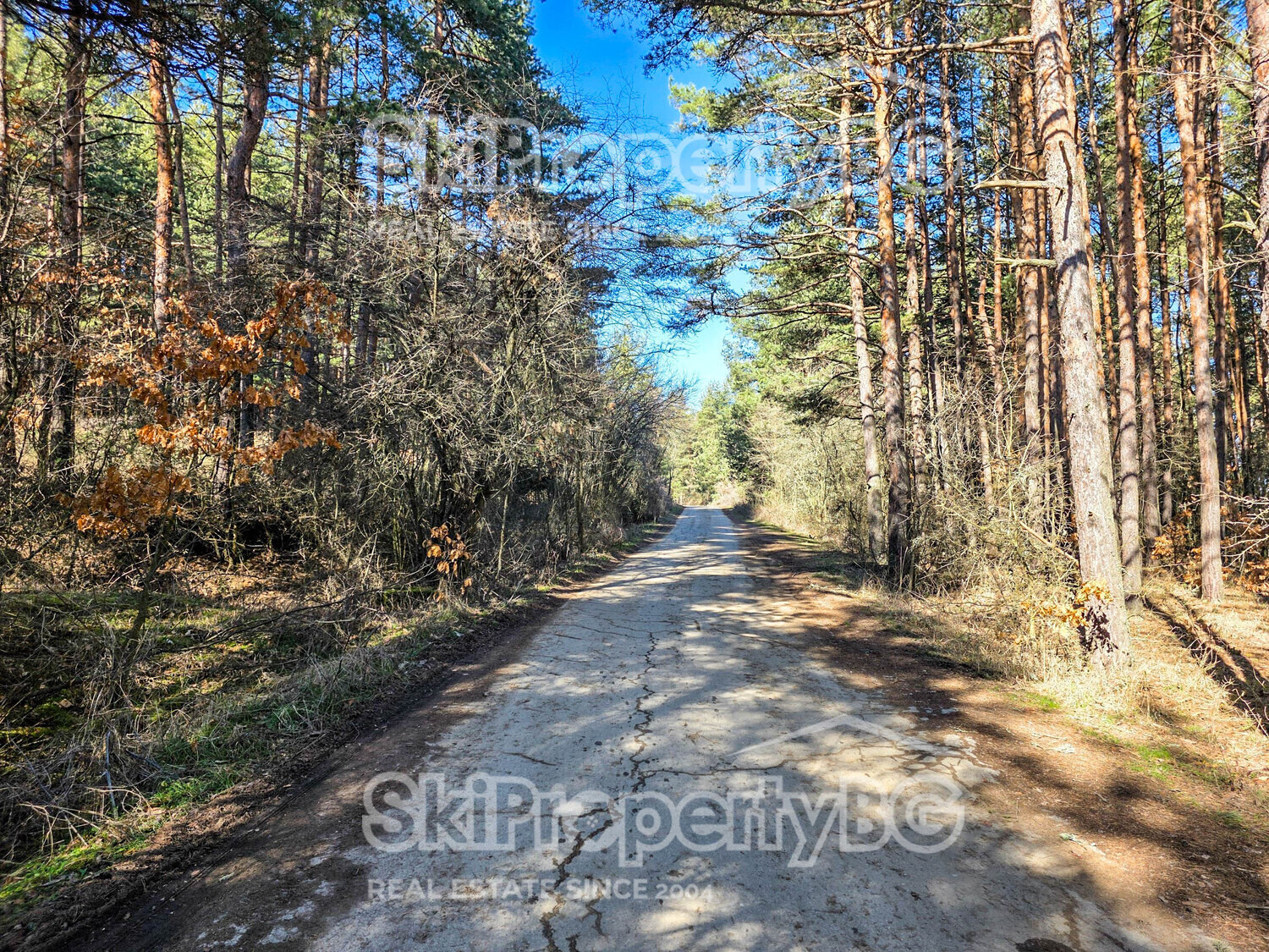 ������� ������ | Imot.bg � ����������� 11