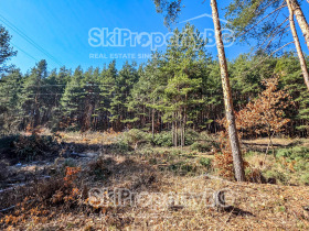 ������� ������ | Imot.bg � ����� ������ 12