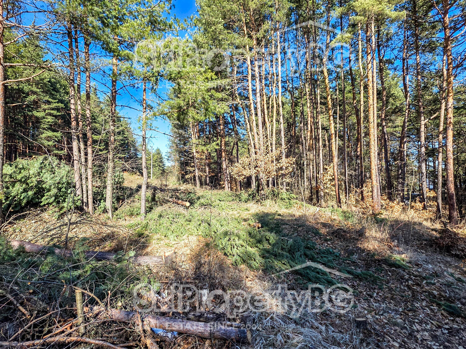 Продава ПАРЦЕЛ, гр. София, м-т яз. Искър, снимка 13 - Парцели - 53636525