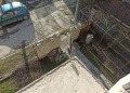 Продава КЪЩА, гр. Велинград, област Пазарджик, снимка 16