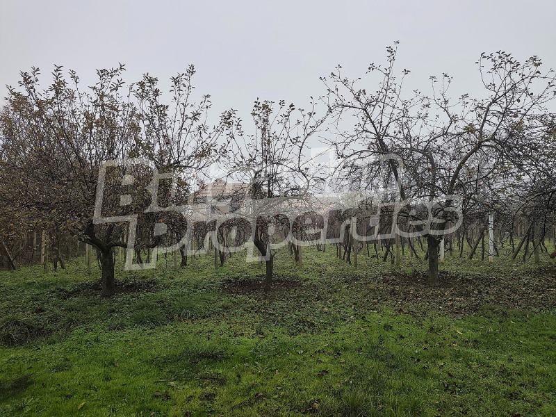 Продава КЪЩА, с. Въбел, област Плевен, снимка 3 - Къщи - 52716283