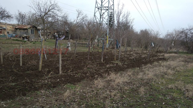 Til salg  Grund region Varna , Ezerovo , 1010 kvm | 15345169 - billede [3]