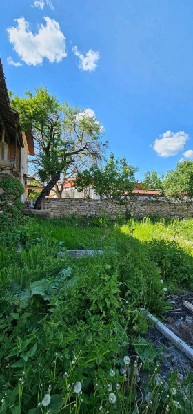 Ev Roman, bölge Vratsa 3