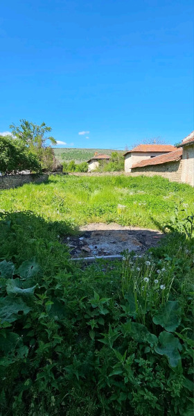 Ev Roman, bölge Vratsa 2
