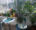 Продава  3-стаен град София , Люлин 6 , 65 кв.м | 50581398 - изображение [2]