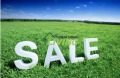 Продава ПАРЦЕЛ, област Пловдив, с. Марково • 45000 € • 35077510 — Holmes.bg